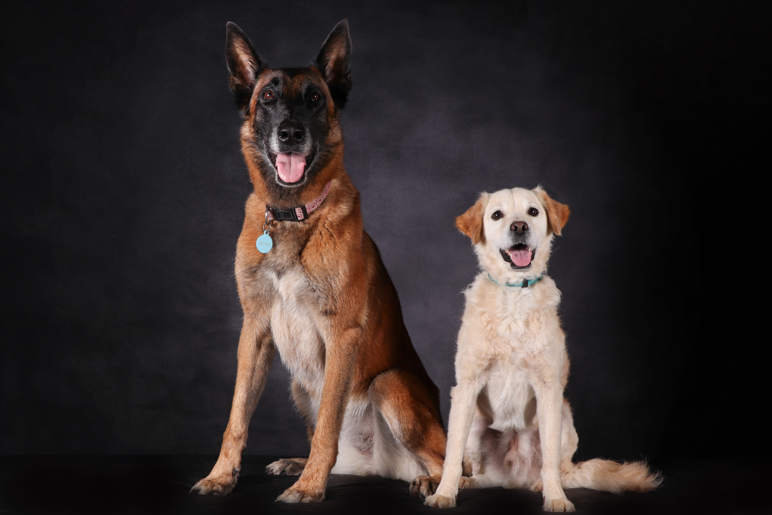 Educateur canin du coin : comportementaliste à votre écoute ! :) Vous recherchez un éducateur canin à Melun Fontainebleau 77 91? 10 ans d'expérience canine + possibility to speak in English = Appelez-nous! éducateur canin Melun 77 Appelez-moi pour faire connaissance ! éducateur canin éducation canine pas chère pas cher prix donné promotion offre spéciale Bienvenue sur mon site d'éducation canine et de comportementalisme en Île-de-France ! Educatrice canin passionnée, je suis spécialisée dans l'accompagnement des chiens et de leur propriétaire. Grâce à mes compétences en comportement animal, je peux vous aider à résoudre les problèmes de comportement de votre chien et à établir une relation harmonieuse et équilibrée avec lui. Je serai ravie de pouvoir vous aider et apporter des solutions adaptées à vos besoins spécifiques, en matière d'éducation canine et de comportement. Au plaisir de vous entendre ! Chien éducation canine éducateur canin éducatrice canin dresseur de chien expérimenté résultats compétent compétente chiens éduqués Melun 77 éducateur canin du coin chien chiot 77 91 45 89 10 Educateur canin - comportementaliste à votre écoute ! Vous recherchez un éducateur canin vers Melun Fontainebleau 77 91 pour votre chien ou chiot ? - 10 ans d'expérience dans le milieu canin - Possibilité de parle en Anglais, possibility to speak in English. Appelez-moi pour faire connaissance ! Bienvenue sur mon site d'éducation canine et de comportementalisme en Île-de-France ! Educatrice canin passionnée, je suis spécialisée dans l'accompagnement des chiens et de leur propriétaire. Grâce à mes compétences en comportement animal, je peux vous aider à résoudre les problèmes de comportement de votre chien et à établir une relation harmonieuse et équilibrée avec lui. Je serai ravie de pouvoir vous aider et apporter des solutions adaptées à vos besoins spécifiques, en matière d'éducation canine et de comportement. Au plaisir de vous entendre ! Educateur canin du coin : comportementaliste à votre écoute ! :) Vous recherchez un éducateur canin à Melun Fontainebleau 77 91? 10 ans d'expérience canine + possibility to speak in English = Appelez-nous! éducateur canin Melun 77 Appelez-moi pour faire connaissance ! éducateur canin éducation canine pas chère pas cher prix donné promotion offre spéciale Bienvenue sur mon site d'éducation canine et de comportementalisme en Île-de-France ! Educatrice canin passionnée, je suis spécialisée dans l'accompagnement des chiens et de leur propriétaire. Grâce à mes compétences en comportement animal, je peux vous aider à résoudre les problèmes de comportement de votre chien et à établir une relation harmonieuse et équilibrée avec lui. Je serai ravie de pouvoir vous aider et apporter des solutions adaptées à vos besoins spécifiques, en matière d'éducation canine et de comportement. Au plaisir de vous entendre ! Chien éducation canine éducateur canin éducatrice canin dresseur de chien expérimenté résultats compétent compétente chiens éduqués Melun 77 éducateur canin du coin chien chiot 77 91 45 89 10 Educateur canin - comportementaliste à votre écoute !</p>
<p> Vous recherchez un éducateur canin vers Melun Fontainebleau 77 91 pour votre chien ou chiot ?</p>
<p>- 10 ans d'expérience dans le milieu canin</p>
<p>- Possibilité de parle en Anglais, possibility to speak in English. </p>
<p>Appelez-moi pour faire connaissance ! </p>
<p>Bienvenue sur mon site d'éducation canine et de comportementalisme en Île-de-France ! Educatrice canin passionnée, je suis spécialisée dans l'accompagnement des chiens et de leur propriétaire. Grâce à mes compétences en comportement animal, je peux vous aider à résoudre les problèmes de comportement de votre chien et à établir une relation harmonieuse et équilibrée avec lui. Je serai ravie de pouvoir vous aider et apporter des solutions adaptées à vos besoins spécifiques, en matière d'éducation canine et de comportement. Au plaisir de vous entendre !